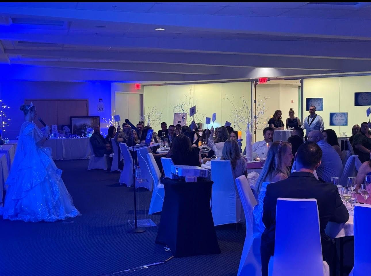 2025 Winter Wonderland gala ballroom