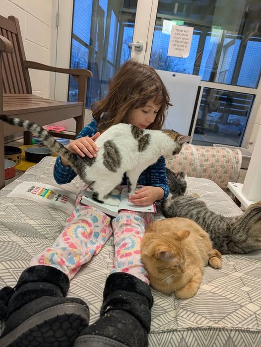 Children reading to animals during Read to the Paw