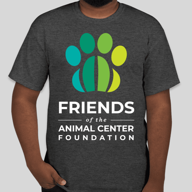 FACF Logo shirt, grey