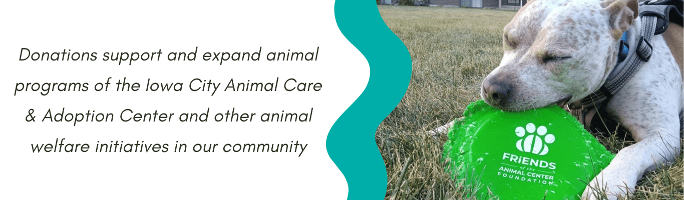 Donations support and expand animal programs of the Iowa City Animal Care and Adoption Center
