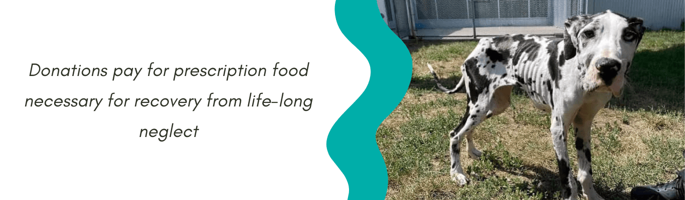 Donations pay for prescription food necessary for recovery from life-long neglect