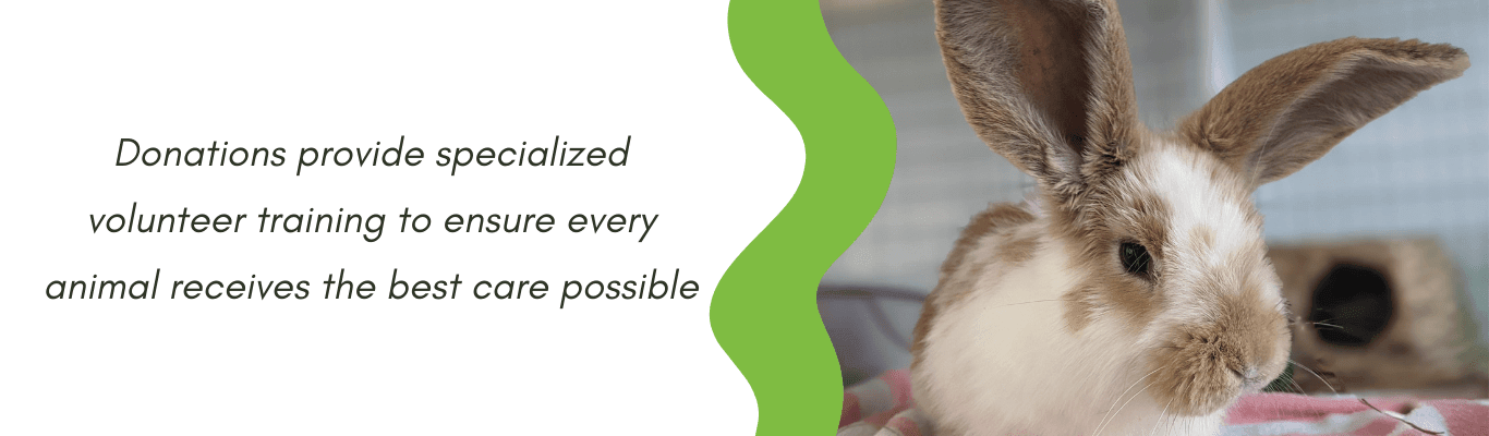 Donations provide specialized volunteer training to ensure every animal receives the best care possible