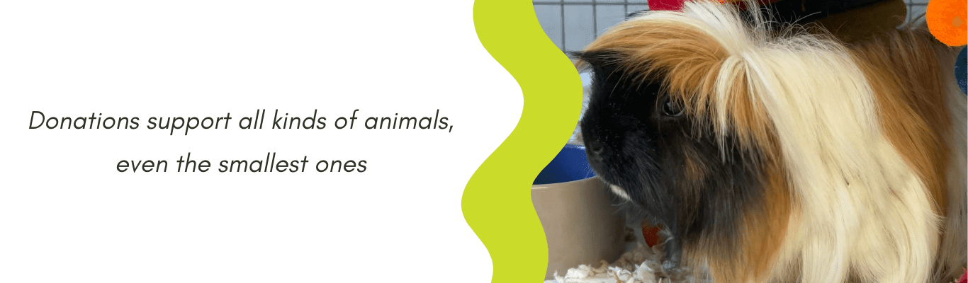 Donations support all kinds of animals, even the smallest ones