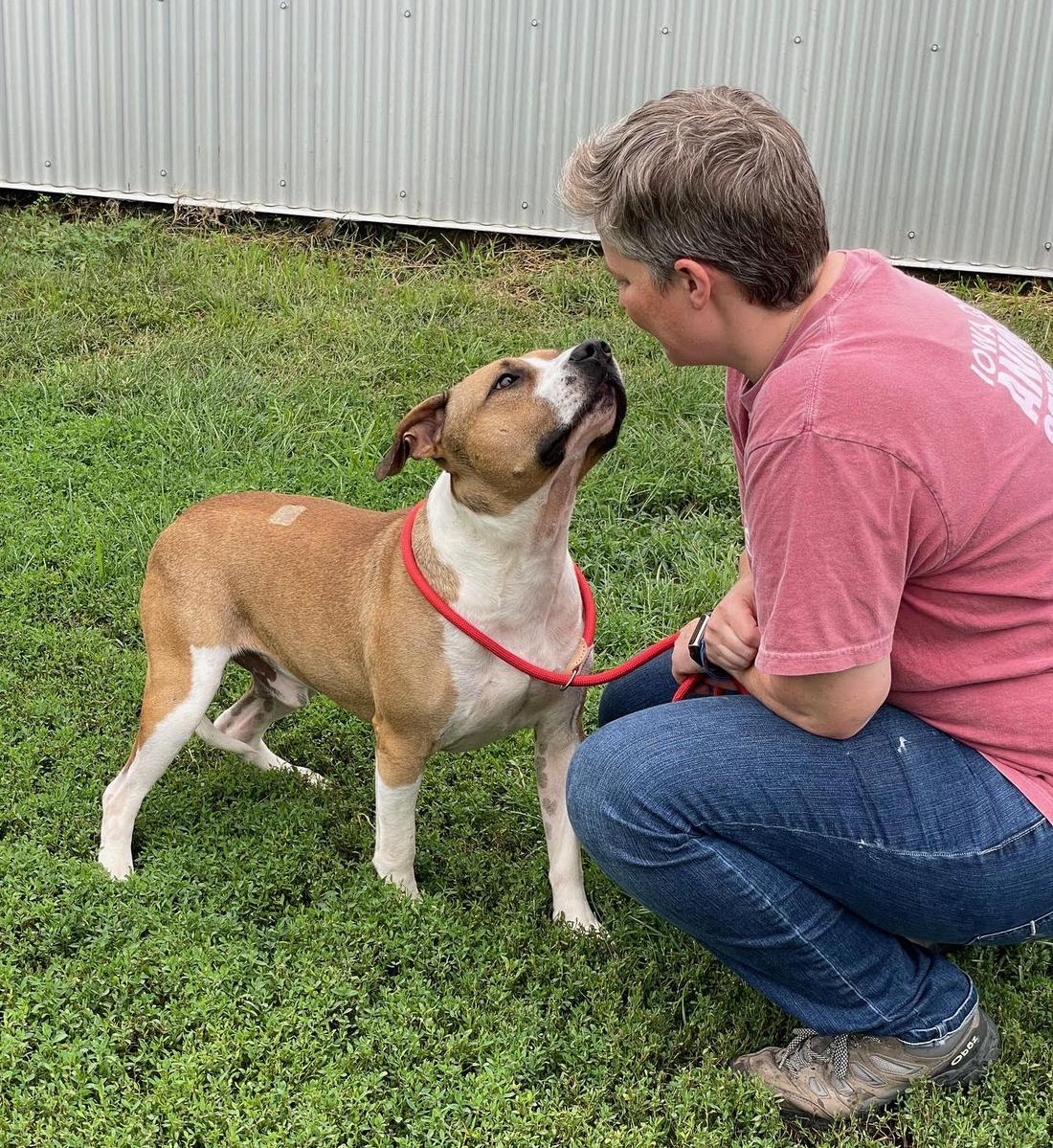 TicTac the dog with his adopter