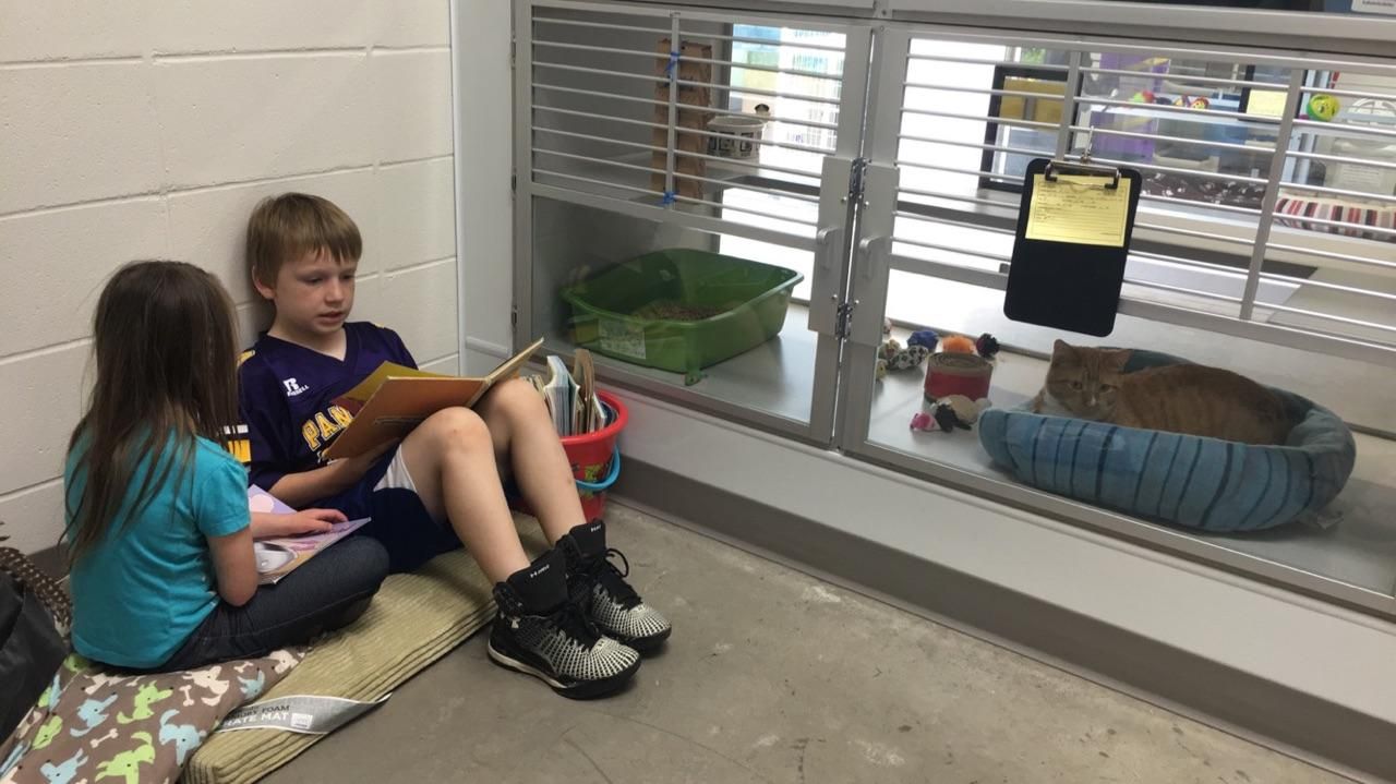 Read to the Paw volunteers with children and animals